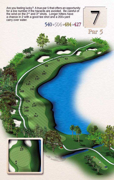 hole 7 description