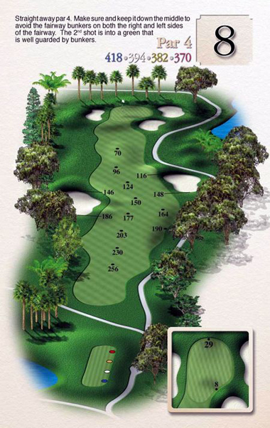 hole 8 description